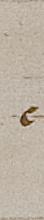 Sleutel in het handschrift
